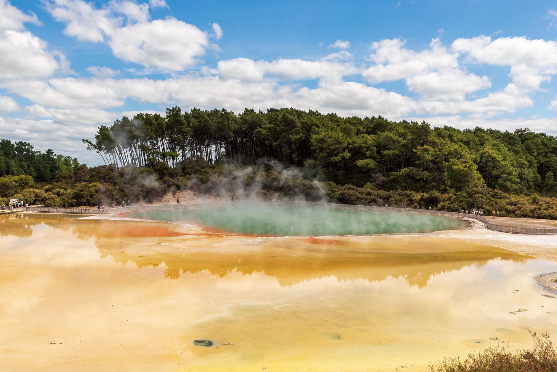 Geothermal Steam Vents Rotorua