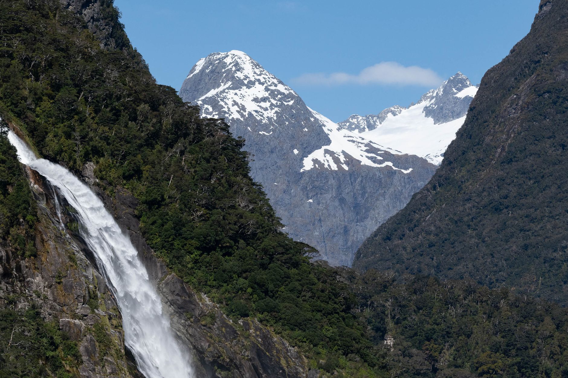 Fiordland National Park hiking trail